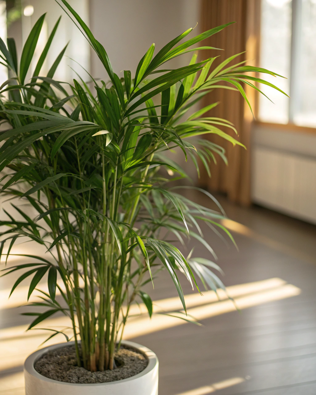 Simple Tips to Keep Your Bamboo Palm Thriving