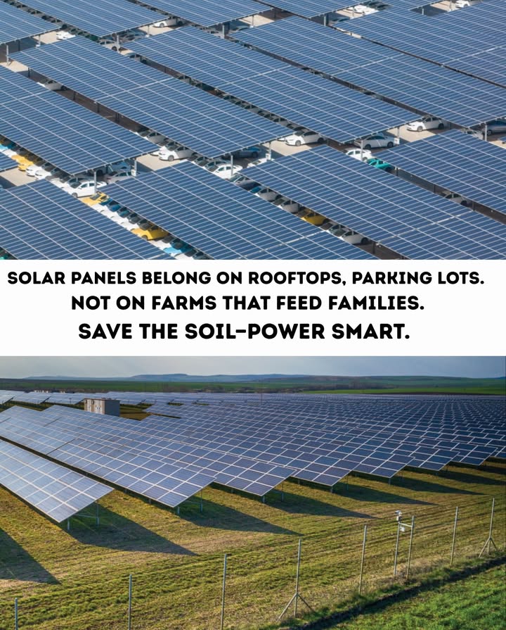 Lets prioritize solar energy!  Instead of placing solar panels on farms, why not install them on parking lots. Its a smarter use of space! 
#SolarEnergy #SustainableLiving