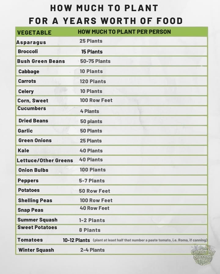 Your Ultimate Planting Guide for a Year of Homegrown Food