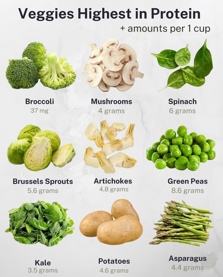 Plant-Based Protein Powerhouses You Should Know
 Veggies like peas, spinach, and broccoli are among the richest natural protein sources in the plant kingdom.
 Protein from vegetables is easier to digest and comes with fiber, vitamins, and antioxidants  unlike most animal protein sources.
 Pairing different plant proteins like peas  potatoes or kale  mushrooms creates a complete amino acid profile.
 High-protein veggies help with muscle recovery, satiety, and energy without the heaviness of meat.