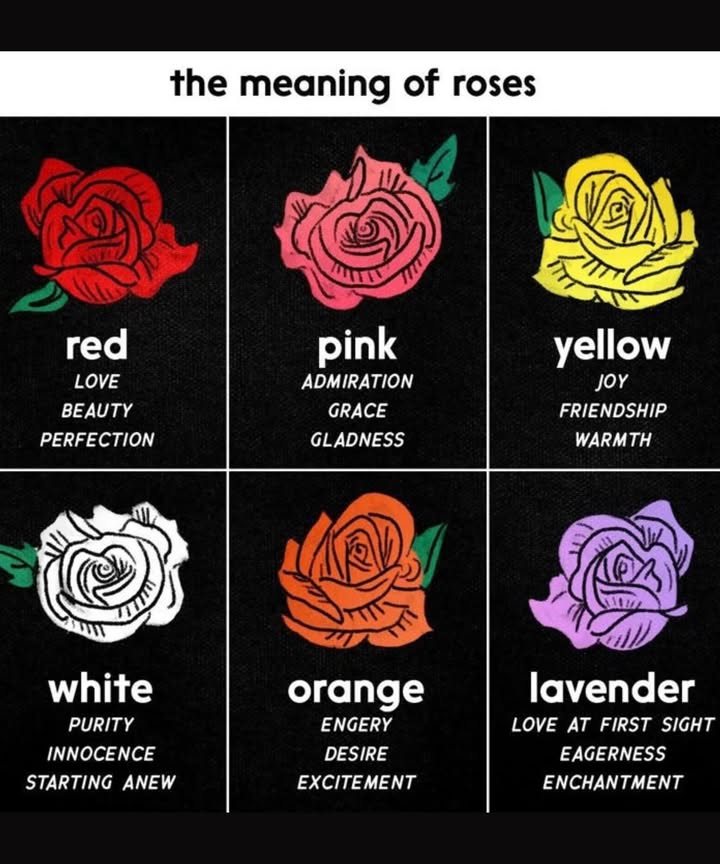 The Meaning of Roses: What Each Color Symbolizes 
 Red Rose
Love  Beauty  Perfection
The classic symbol of romance. A red rose speaks volumespassionate love, deep admiration, and timeless elegance. Perfect for anniversaries or Valentines Day!

 Pink Rose
Admiration  Grace  Gladness
Sweet and gentle, pink roses convey admiration and joy. Theyre perfect for expressing appreciation or celebrating milestones with charm and warmth.

 Yellow Rose
Joy  Friendship  Warmth
Radiating sunshine and happiness, yellow roses are ideal for close friends. Share them to spread cheer, positivity, and lasting companionship.

懶 White Rose
Purity  Innocence  Starting Anew
Elegant and serene, white roses represent fresh beginnings, sincerity, and peace. Popular in weddings and moments of remembrance.

李 Orange Rose
Energy  Desire  Excitement
Bold and fiery, orange roses capture enthusiasm and attraction. A great pick for expressing fascination or celebrating exciting new ventures.

 Lavender Rose
Love at First Sight  Eagerness  Enchantment
Mysterious and romantic, lavender roses hint at a magical connection. Ideal for those moments when words fall short but feelings run deep.

 Whether youre saying I love you, I admire you, or simply Im thinking of you, let your roses do the talking.