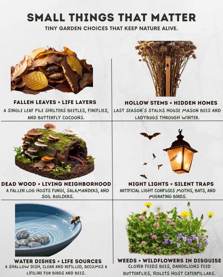 Tiny choices in the garden dont just grow plants  they protect entire ecosystems.