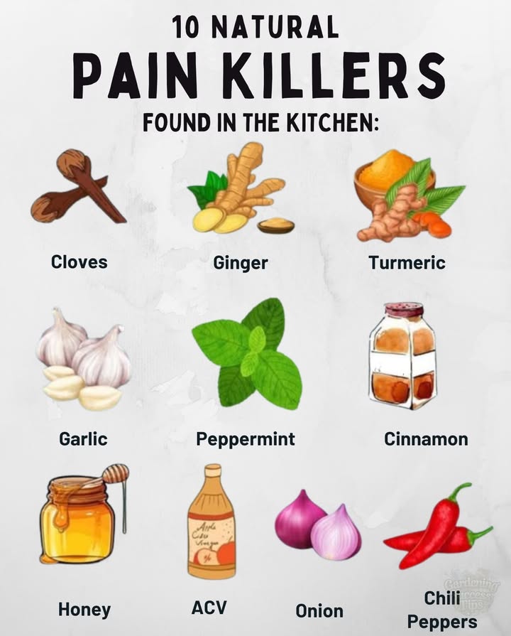 10 Natural Pain Killers Hiding in Your Kitchen! 
 Cloves  Great for toothaches and sore gums. Clove oil can numb pain fast!
 Ginger  A powerful anti-inflammatory that helps with muscle pain and nausea.
 Turmeric  Contains curcumin, which reduces inflammation and joint pain.
 Garlic  Helps fight infection and ease pain with natural antibiotic properties.
 Peppermint  Soothes headaches and stomach cramps; use the oil or brew a tea.
 Cinnamon  Can relieve arthritis pain and improve blood flow.
 Honey  Natural antibacterial properties and soothes sore throats and coughs.
 Apple Cider Vinegar ACV  Alkalizing and can help with indigestion and joint pain.
 Onion  Anti-inflammatory and may reduce pain from infections or swelling.
 Chili Peppers  Contain capsaicin, a natural compound that blocks pain signals.
Why It Matters:
Natural remedies can support your body gently, often with fewer side effects. Keep these kitchen staples handyyou never know when natures medicine cabinet will come in clutch! 律