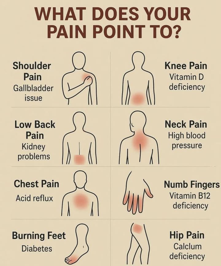 What Does Your Pain Point To
 Shoulder Pain
If you experience shoulder pain, it could be related to a gallbladder issue. Its important to pay attention to other digestive symptoms and get checked by a doctor if necessary.

例 Knee Pain
Knee pain can sometimes point to a Vitamin D deficiency. Make sure youre getting enough sunlight or consider a supplement if youre not. Talk to your doctor for guidance.

 Low Back Pain
Chronic low back pain might be a sign of kidney problems. If youre experiencing this pain, especially with other symptoms like changes in urination, its time to consult a healthcare professional.

易 Neck Pain
Neck pain can sometimes indicate high blood pressure. If this pain is accompanied by dizziness or a headache, get your blood pressure checked to rule out any serious conditions.

 Chest Pain
Chest pain might be linked to acid reflux, which can cause discomfort in the chest and throat. However, never dismiss chest pain as its important to rule out heart problems with a doctor.

 Burning Feet
If your feet are burning, it could be a sign of diabetes, particularly if youre also experiencing tingling or numbness. If this is a recurring issue, its crucial to get a blood sugar test.

 Numb Fingers
Numbness in your fingers may indicate a Vitamin B12 deficiency. If you experience this, consider adding more B12-rich foods or supplements to your diet.

例 Hip Pain
Hip pain might suggest a calcium deficiency, which is vital for healthy bones. Make sure youre eating calcium-rich foods like dairy, leafy greens, and fortified products.

Listen to Your Body!
Pain can be a sign that your body needs attention. If you experience any of these symptoms, its best to see a healthcare provider for a thorough check-up.