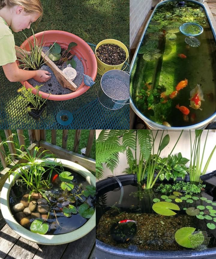 Step-by-Step Guide to Creating a Mini Water Garden in a Pot 

Creating a mini water garden is easy and rewarding! Heres how to add tranquility to your space:

1 Choose a 12-inch deep, leak-proof pot.
2 Select plants: floating water lettuce, submerged hornwort, and marginal dwarf papyrus.
3 Fill with rainwater, place plants at various depths, and ensure 46 hours of sunlight.
4 Optional: Add fish, clean debris weekly, and top up water as needed.