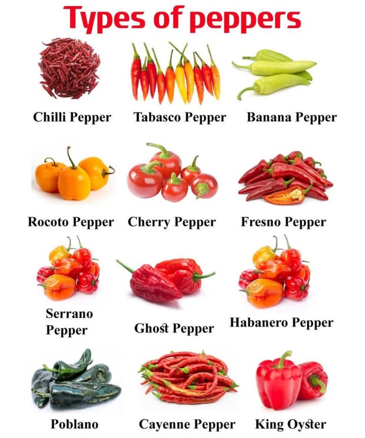 Types of Peppers to Spice Up Your Cooking 
1 Chilli Pepper
 The classic spice staple that adds heat to any dish.

2 Tabasco Pepper
 Known for its use in the famous hot sauce, perfect for adding a zesty kick!

3 Banana Pepper
 Mildly spicy with a tangy twist, ideal for salads and sandwiches.

4 Rocoto Pepper
 A Peruvian pepper with a fruity flavor and medium heat.

5 Cherry Pepper
 Small and round, these peppers pack a punch with their tangy heat.

6 Fresno Pepper
 A sweet and smoky pepper thats great for salsas and grilling.

7 Serrano Pepper
 A fiery pepper thats perfect for making hot sauces and adding heat to dishes.

8 Ghost Pepper
 One of the hottest peppers in the world! Handle with care.

9 Habanero Pepper
 Popular in Caribbean cuisine, these peppers are fiery with a fruity flavor.

 Poblano Pepper
 Mild and flavorful, great for stuffing or adding depth to your meals.

11 Cayenne Pepper
 A hot and versatile pepper, often ground into a powder for seasoning.

12 King Oyster Pepper
 This unique pepper adds an earthy and savory flavor with a mild heat.

Spice up your dishes by experimenting with these peppers for a burst of flavor and heat!