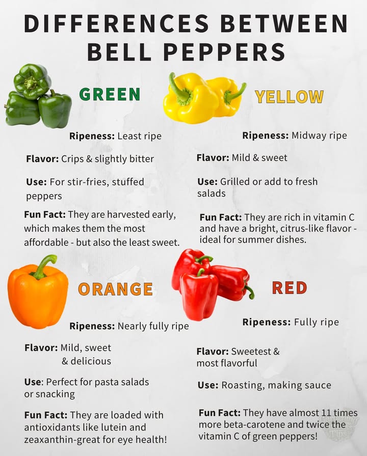 𣏕 Bell pepper color tells you how ripeand sweetit is.
Each color tells a storyfrom bitter to bold flavor 

 Green
 Least ripe, crisp & slightly bitter
 Best for stir-fries & stuffed dishes
 Most affordable, but lowest in sweetness

 Yellow
 Midway ripe, mild & sweet
 Great grilled or tossed in fresh salads
 Citrus flavor  rich in Vitamin C

 Orange
 Almost fully ripe, sweet & tasty
 Perfect for snacking or pasta salads
 Packed with eye-healthy antioxidants

 Red
 Fully ripe, sweetest & most flavorful
 Ideal for roasting & sauces
 11x more beta-carotene than green ones!