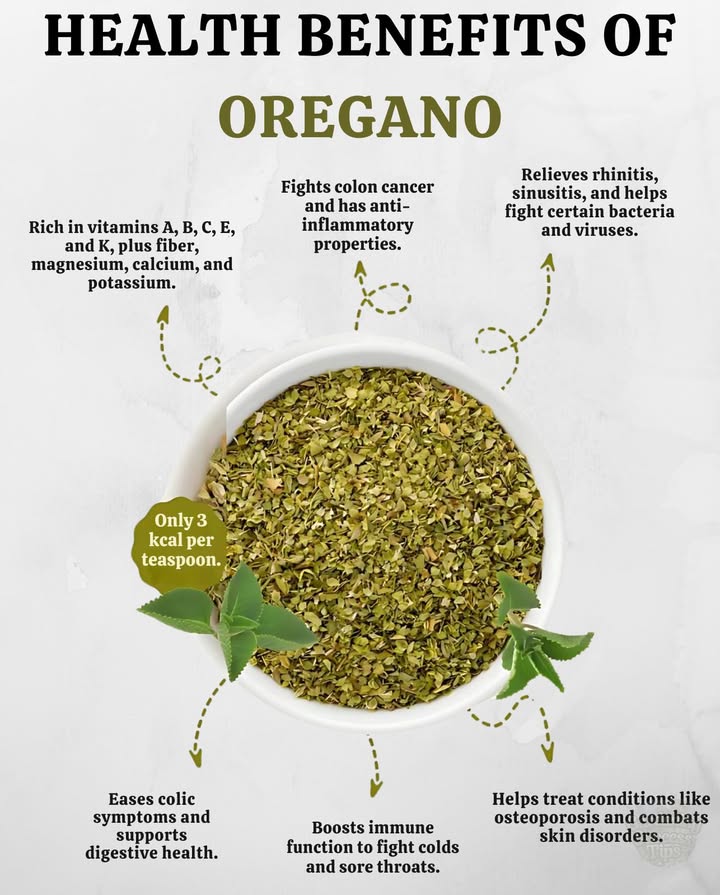 Oregano: Tiny Leaves, Mighty Benefits 
No fussjust natures power packed into one herb.

1 Anti-Cancer Ally
 Shown to slow colon cancer cell growth
 Benefits linked to consistent, moderate use

2 Natural Anti-Inflammatory
 Helps reduce chronic inflammation
 Supports heart and bone health over time

3 Strong Antibacterial Properties
 Carvacrol  Thymol: compounds known to fight pathogens
 Oregano essential oil is used to sanitize foods naturally

4 Antioxidant Shield
 Rich in rosmarinic acid
 Helps your immune system resist oxidative stress

 Nutrient Powerhouse
 Vitamins A, B, C, E, K
 Minerals: calcium, magnesium, potassium

綾 In the Kitchen:
Perfect in stews, salads, sauces, herbal teas & meat marinades.

 One herb, many uses  and every pinch supports your well-being naturally.