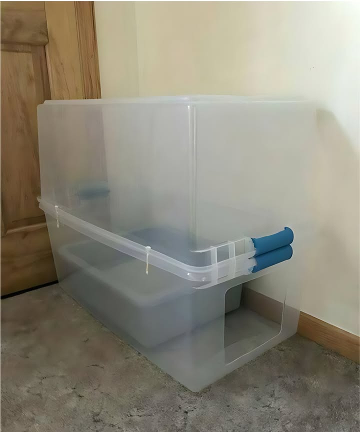 DIY for keeping litter off of carpet
So clever!