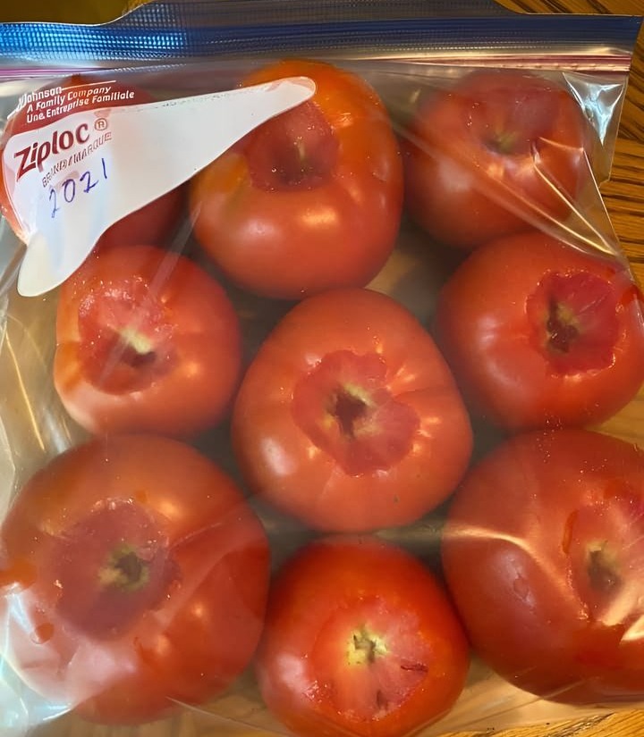 This is all you have to do to freeze your garden tomatoes so that you can use them all winter long.
1. Wash the tomatoes.
2. Remove the stems.
3. Freeze the tomatoes.
When you take them from the freezer:
4. Put them in the sink while still frozen.
5. Turn hot water on them and the peelings will come off easily.
6. Cut them up while still frozen and add to any recipe.