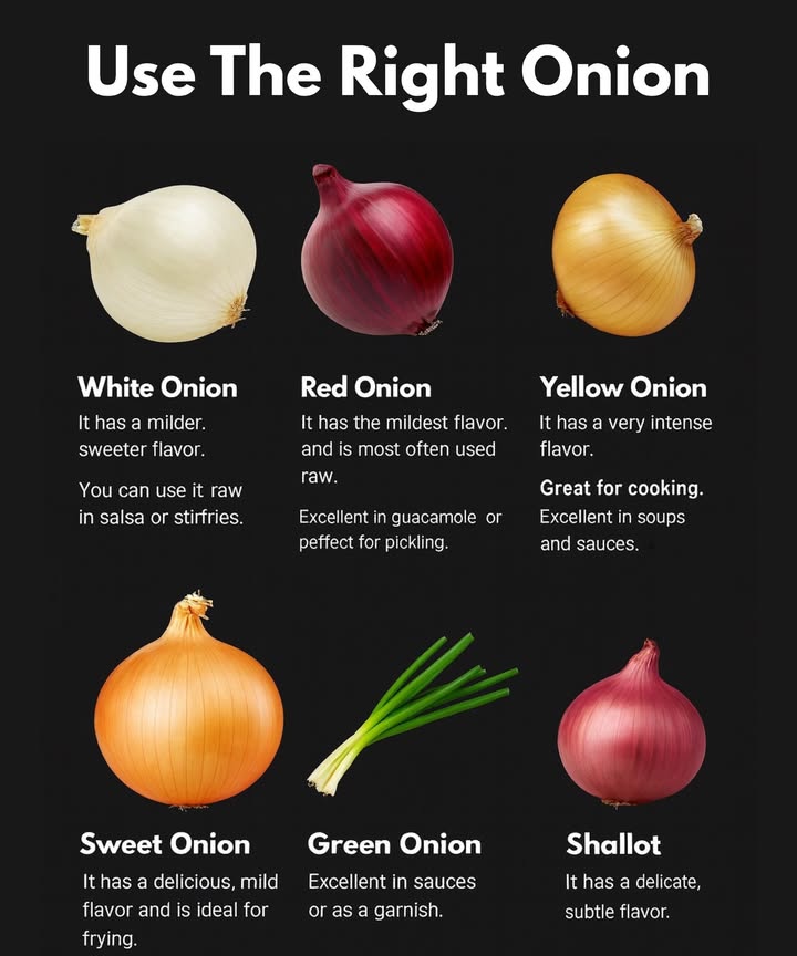 暈 Use The Right Onion Every Time!
Not all onions are the same! Each type brings a unique flavor and works best in certain dishes. Heres your quick guide:

 White Onion

Mild, sweeter flavor

Perfect raw in salsa or stir-fries

 Red Onion

Mildest flavor

Best raw in salads, guacamole, or for pickling

 Yellow Onion

Strong, intense flavor

 Great for cooking  soups, sauces, and stews

 Sweet Onion

Delicious, mild taste

Ideal for frying and caramelizing

 Green Onion

Light, fresh bite

Excellent in sauces or as a garnish

 Shallot

Delicate, subtle flavor

Adds elegance to dressings and gourmet dishes
