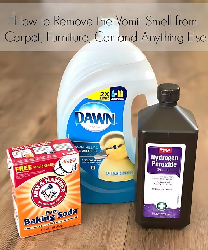 I have the perfect recipes for how to clean the vomit smell from carpet, furniture, car and anything elseincluding stuffed animals
Ingredients:

2 cups hydrogen peroxide
2 tsp baking soda
2 drops liquid dish soap
Instructions:
1. Mix the hydrogen peroxide, baking soda, and dish soap together until the baking soda dissolves.
2. For stuffed animals, clothing, cars, or carpets, saturate the affected area with the mixture.
3. Press the area with towels or rags to soak up the solution.
4. Repeat the process if necessary to ensure thorough cleaning.
5. Optionally, sprinkle baking soda over the treated area and vacuum it up later to further eliminate any remaining odor.