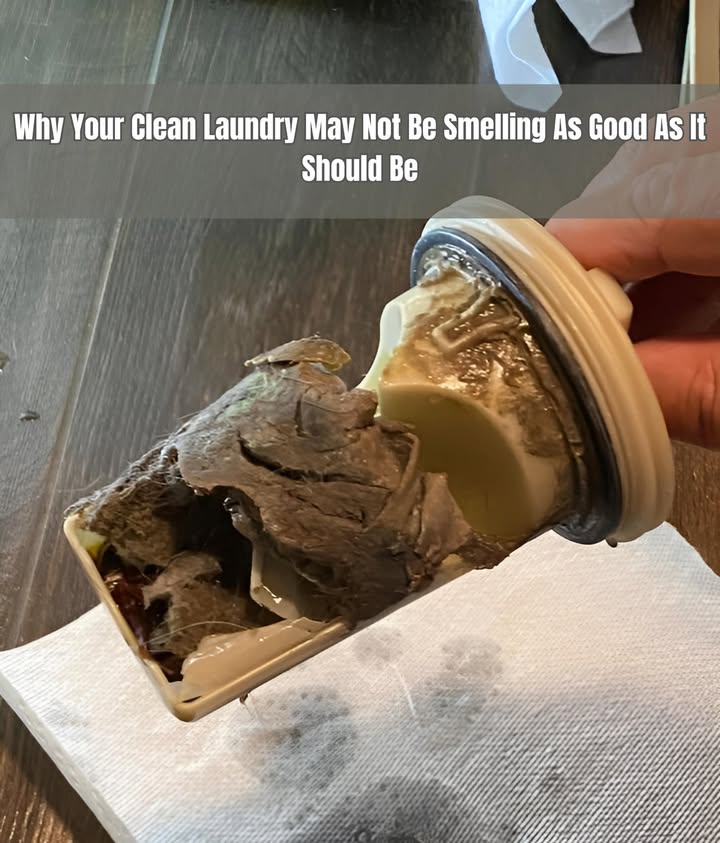 To ensure your washing machine keeps your clothes smelling fresh, make it a habit to clean the drain plug periodically. Heres how:
1. Locate the Drain Plug: Refer to your washing machines owners manual to find where the drain plug is located. Its typically near the bottom of the machine.
2. Prepare for Cleaning: Put on rubber gloves to protect your hands from any grime or debris.
3. Unplug the Machine: For safety, disconnect the washing machine from the power source.
4. Access the Drain Plug: Depending on your machine, you may need to remove a cover or panel to access the drain plug. Use a screwdriver or follow the manuals instructions.
5. Remove the Drain Plug: Once youve located it, carefully unscrew or unclip the drain plug. Be cautious not to force it, as you dont want to damage the plug or the machine.
6. Clean the Filter: Take out the filter from the drain plug. Use a brush or cloth to remove any buildup of lint, hair, or other debris. You can also rinse it under running water to ensure thorough cleaning.
7. Inspect for Damage: While you have the filter out, take a moment to inspect it for any signs of damage. If its cracked or broken, it may need to be replaced.
8. Reassemble: After cleaning, reattach the filter to the drain plug and secure it back into place on the washing machine.
9. Test the Machine: Plug the machine back in and run a short wash cycle to ensure everything is working correctly.
10. Repeat Regularly: Make cleaning the drain plug a part of your regular laundry routine. Aim to do it every few months or as recommended in your owners manual.
By following these simple steps, youll help maintain your washing machines performance and keep your clothes smelling clean and fresh.