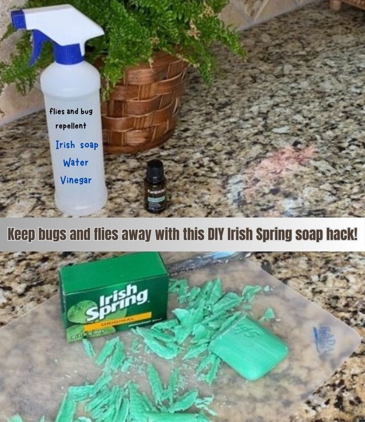 DIY Irish Spring flies and bug repellent to keep pests away! 識
Ingredients:
Irish Spring soap
Grater
Bowl
Water optional
Vinegar optional
To use it:
1. Grate the Irish Spring soap into a bowl.
2. Sprinkle the grated soap on your window sills to keep bugs out.
3. Add grated soap to your trash can to repel flies and minimize odor.
4. Sprinkle grated soap in your garden to protect your plants.
5. Mix grated soap with water and vinegar, if desired in a spray bottle for a bug-repellent spray.
6. Say goodbye to bugs with this simple and effective soap trick!