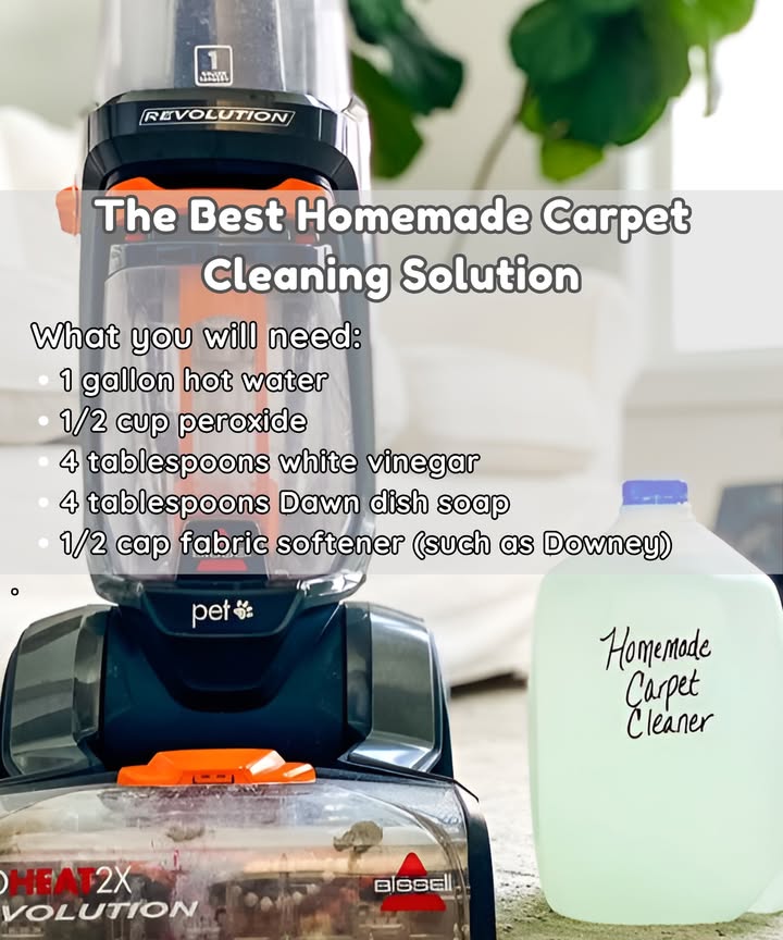 DIY Carpet cleaner for a machine – This cleaner also removes smells from the carpet such as from pet urine!.
Ingredients:
1 gallon hot water
1/2 cup peroxide
4 tablespoons white vinegar
4 tablespoons Dawn dish soap
1/2 cap fabric softener such as Downey
Instructions:
1. In a container, mix together the hot water, peroxide, white vinegar, Dawn dish soap, and fabric softener.
2. Stir the mixture slowly until well combined.
3. Follow the manufacturers instructions for your carpet cleaning machine such as a Bissell ProHeat Machine.
4. Add the prepared mixture to the machines reservoir as directed.
5. Use the carpet cleaner machine to clean your carpets as usual.