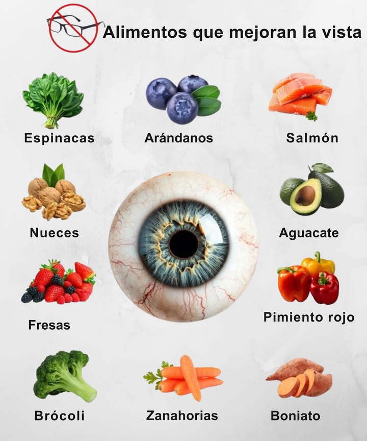 Alimentos que mejoran tu vista naturalmente 𢡄

Refuerza tu salud ocular incluyendo estos superalimentos en tu dieta:

塞 Espinacas  Ricas en luteína y zeaxantina, protegen la retina.
𢡄 Arándanos  Antioxidantes que combaten el envejecimiento ocular.
 Salmón  Omega-3 que nutre la retina y previene el ojo seco.
陋 Aguacate  Vitamina E y grasas saludables para visión duradera.
 Pimiento rojo  Fuente de vitamina C que protege los vasos oculares.
樂 Nueces  Aportan ácidos grasos esenciales y vitamina E.
 Fresas  Refuerzan los capilares de los ojos.
復 Brócoli  Antioxidante y desintoxicante ocular.
凌 Zanahorias  Beta caroteno, esencial para la visión nocturna.
 Boniato  Alternativa dulce con alto contenido en vitamina A.

 Una alimentación rica en nutrientes es tu mejor aliada para mantener una vista sana y fuerte.