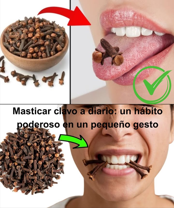 Masticar clavo a diario: un hábito poderoso en un pequeño gesto

Los clavos de olor, más que un simple condimento, esconden una farmacia natural en miniatura. Al masticar uno o dos al día, liberas compuestos como el eugenol, que actúan directamente en tu cuerpo desde la boca.

 Alivio dental inmediato: combate infecciones bucales, calma el dolor y deja el aliento fresco
 Digestión sin molestias: estimula enzimas, reduce gases e hinchazón
 Limpieza del hígado: rico en antioxidantes que desinflaman y ayudan a depurar
 Azúcar bajo control: mejora la sensibilidad a la insulina
 Escudo anticáncer: contiene flavonoides que protegen tu ADN
 Sistema inmune más fuerte: combate microbios y aumenta tus defensas
 Respiración libre: abre las vías respiratorias y alivia la congestión
 Corazón protegido: reduce el colesterol malo y mejora la circulación
 Estómago a salvo: previene úlceras reforzando la mucosa gástrica
 Adiós parásitos: rompe el ciclo de los intestinales
 Mente serena: reduce el estrés al influir sobre serotonina y dopamina

 Cómo hacerlo bien
 Mastica 1 o 2 clavos enteros al día, lentamente
 Hazlo por la mañana o tras comer
 Elige clavo entero, marrón intenso, de aroma fuerte y orgánico

 Evita si estás embarazada, tomas anticoagulantes, tienes alergia al clavo o lo das a niños pequeños

Un gesto mínimo, un impacto máximo: una especia ancestral que cuida tu cuerpo desde dentro, con solo masticar.
