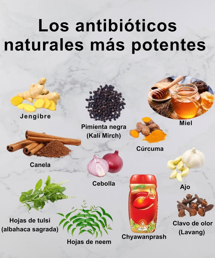 Los antibióticos naturales más potentes que fortalecen tu organismo desde la raíz 

 Jengibre: combate infecciones y alivia la inflamación
 Pimienta negra Kali Mirch: mejora la absorción de nutrientes y limpia las vías respiratorias
 Miel: poderosa acción antibacteriana y cicatrizante
 Cúrcuma: desinflamante y protectora del sistema inmunológico
 Canela: antiséptica y reguladora del azúcar en sangre
暈 Cebolla: expectorante natural y purificadora
龍 Ajo: antibiótico natural por excelencia
 Hojas de tulsi albahaca sagrada: inmunoestimulante y antiviral
 Hojas de neem: purificadoras y antibacterianas
 Chyawanprash: tónico ayurvédico revitalizante
 Clavo de olor Lavang: potente antiséptico y analgésico

 Un botiquín natural directo de la naturaleza.