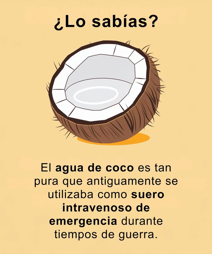 Sabías que el agua de coco es tan pura que se utilizó como líquido intravenoso de emergencia en tiempos de guerra?  Esta bebida natural, rica en electrolitos, es la forma perfecta de hidratación: refrescante, curativa y ideal para el cuerpo humano. 
 #AguaDeCoco #HidrataciónNatural  #NatureHeals