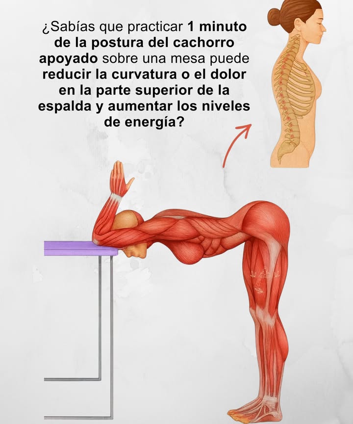 律 Postura del cachorro apoyado

Practicarla durante 1 minuto al día ayuda a:

 Reducir la curvatura y aliviar el dolor en la parte superior de la espalda.
 Liberar tensión en hombros y cuello.
 Mejorar la postura y la movilidad de la columna.
 Aumentar la energía y la oxigenación corporal.

 Un estiramiento simple con grandes beneficios para cuerpo y mente.