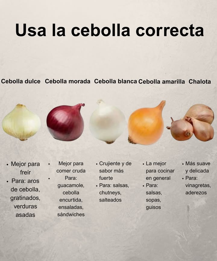 Usa la cebolla correcta 

暈 Cebolla dulce
Perfecta para freír: aros de cebolla, gratinados, verduras asadas.

暈 Cebolla morada
Ideal para comer cruda: guacamole, encurtidos, ensaladas, sándwiches.

暈 Cebolla blanca
Crujiente y con sabor intenso: salsas, chutneys, salteados.

暈 Cebolla amarilla
La favorita para cocinar: salsas, sopas, guisos.

暈 Chalota
Suave y delicada: vinagretas, aderezos.