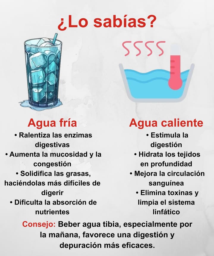 Agua fría vs. agua caliente 

略 Agua fría
 Ralentiza las enzimas digestivas
 Aumenta la mucosidad y la congestión
 Solidifica las grasas y dificulta su digestión
 Reduce la absorción de nutrientes

 Agua caliente
 Estimula la digestión natural
 Hidrata los tejidos en profundidad
 Mejora la circulación sanguínea
 Elimina toxinas y limpia el sistema linfático

 Consejo: beber agua tibia por la mañana favorece una digestión más suave y una depuración eficaz del organismo.