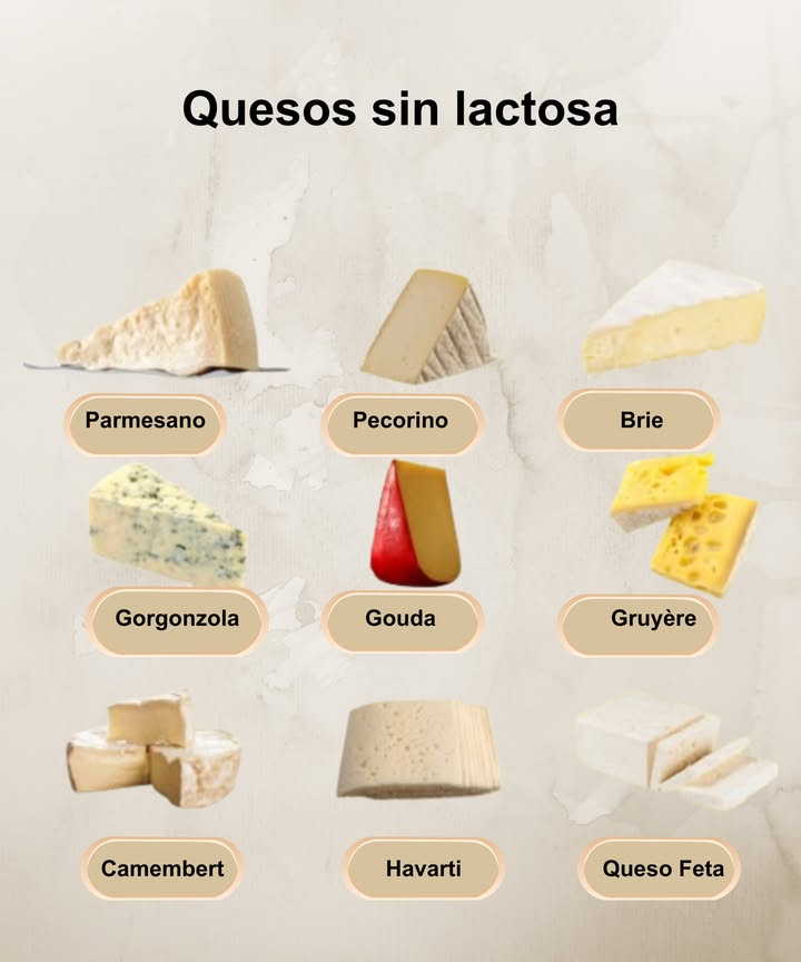 燎 Quesos sin lactosa

Disfruta del sabor del queso sin preocuparte por la lactosa. Estos clásicos se fermentan y maduran lo suficiente como para que su contenido sea prácticamente nulo:

 Parmesano  Envejecido y con sabor intenso.
 Pecorino  Fuerte, curado y perfecto para rallar.
 Brie  Suave, cremoso y con corteza comestible.
 Gorgonzola  Azul y con aroma inconfundible.
 Gouda  Dulce y equilibrado, ideal para fundir.
 Gruyère  Curado, firme y excelente para gratinar.
 Camembert  Cremoso y aromático, similar al brie.
 Havarti  Suave, mantecoso y versátil.
 Queso Feta  Salado, fresco y delicioso en ensaladas.

 Todos ellos son naturalmente bajos en lactosa gracias a su proceso de maduración.