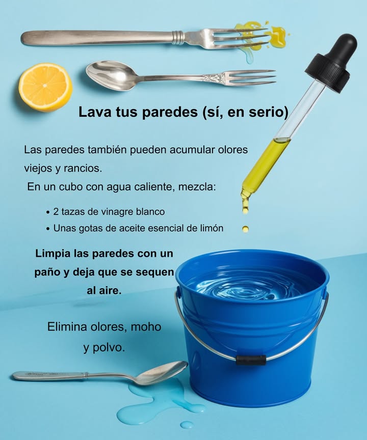 Lava tus paredes para un hogar más fresco

Las paredes también retienen olores viejos y humedad.
Devuélveles frescura con una mezcla sencilla y natural:

画 En un cubo con agua caliente agrega:
 2 tazas de vinagre blanco
 Unas gotas de aceite esencial de limón

Pasa un paño húmedo por las paredes y deja secar al aire.
Elimina olores, moho y polvo en minutos.
Un truco fácil que transforma el ambiente.
