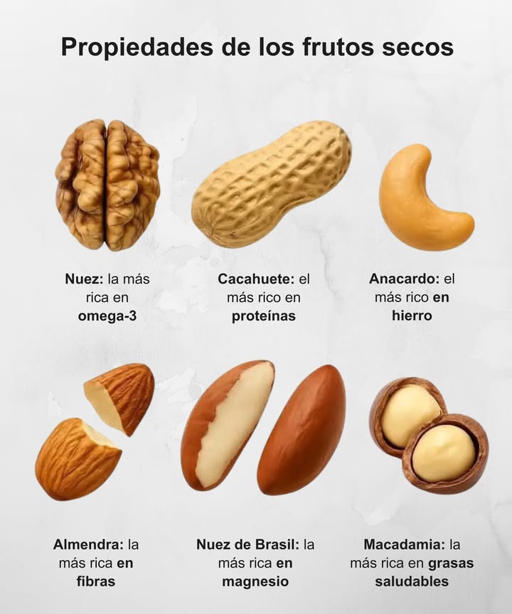 樂 Propiedades de los Frutos Secos 

 Nuez: rica en omega-3, favorece la salud del corazón.
 Cacahuete: alto en proteínas, ideal para ganar energía.
喝 Anacardo: fuente natural de hierro y antioxidantes.
 Almendra: rica en fibras, mejora la digestión.
 Nuez de Brasil: aporta magnesio y selenio, esenciales para el bienestar.
 Macadamia: la más rica en grasas saludables y muy beneficiosa para el sistema nervioso.

 Un puñado al día nutre el cuerpo, equilibra la energía y cuida tu corazón.