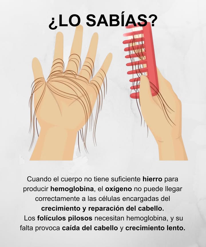 La falta de hierro afecta directamente el crecimiento del cabello
Cuando el cuerpo no dispone de suficiente hierro para producir hemoglobina, el oxígeno no llega correctamente a las células que se encargan del crecimiento y reparación capilar.
Los folículos pilosos dependen de la hemoglobina, y su carencia puede causar caída del cabello y crecimiento lento.
 Mantén una dieta rica en hierro legumbres, espinacas, carnes magras, frutos secos para fortalecer tu melena desde dentro.