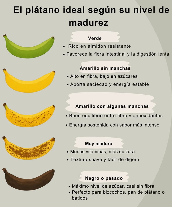 El plátano ideal según su nivel de madurez 

塞 Verde
 Rico en almidón resistente
 Favorece la flora intestinal y la digestión lenta

 Amarillo sin manchas punto justo
 Alto en fibra, bajo en azúcares
 Aporta saciedad y energía estable

 Amarillo con algunas manchas maduro
 Buen equilibrio entre fibra y antioxidantes
 Energía sostenida con sabor más intenso

 Muy maduro muchas manchas
 Menos vitaminas, más dulzura
 Textura suave y fácil de digerir

 Negro o pasado
 Máximo nivel de azúcar, casi sin fibra
 Perfecto para bizcochos, pan de plátano o batidos

 Cada etapa es única y útil. El plátano siempre tiene un momento ideal para tu salud o tu cocina.