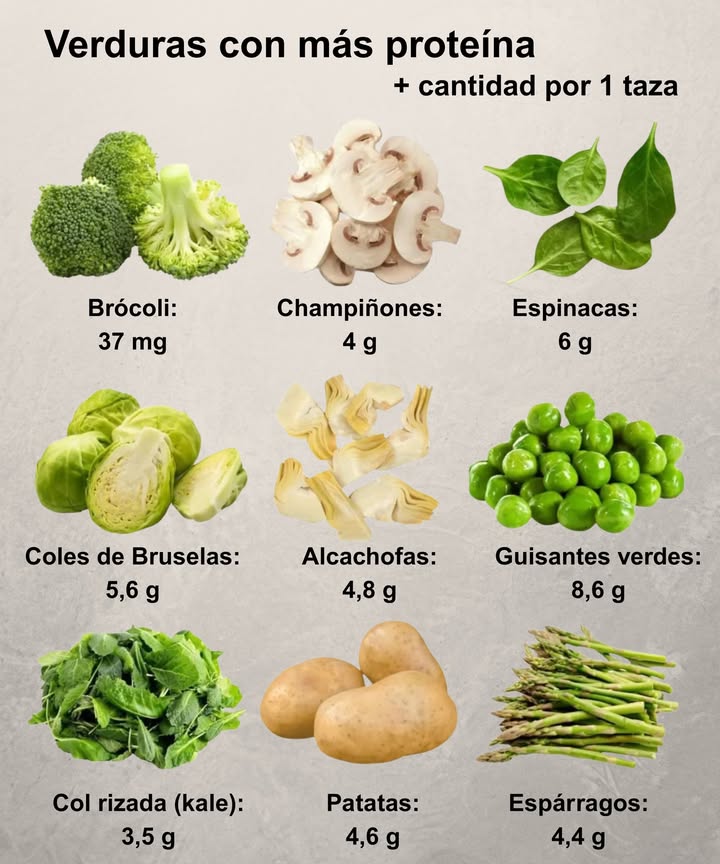 Potentes Proteínas Vegetales que Debes Conocer
 Verduras como guisantes, espinacas y brócoli son de las fuentes de proteína vegetal más ricas.
 La proteína de origen vegetal se digiere mejor y aporta fibra, vitaminas y antioxidantes, a diferencia de muchas fuentes animales.
 Combinar distintas proteínas vegetales como guisantes  patatas o kale  champiñones ofrece un perfil completo de aminoácidos.
 Las verduras ricas en proteína favorecen la recuperación muscular, la saciedad y la energía sin la pesadez de la carne.