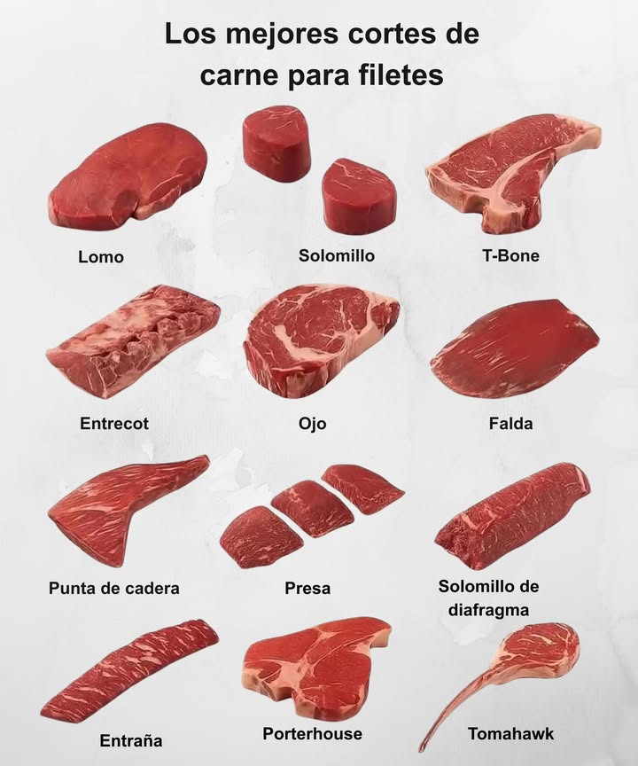 數 Los mejores cortes de carne para filetes

 Lomo: Suave, magro y tierno, ideal para asar o plancha.
 Solomillo: El más tierno, con textura mantequillosa y sabor delicado.
數 T-Bone: Corte jugoso con hueso, mezcla de lomo y solomillo.
 Entrecot: Muy sabroso, con vetas de grasa que lo hacen jugoso.
數 Ojo: Corte marmoleado, perfecto para parrilla o sartén.
 Falda: Fibrosa y con mucho sabor, ideal para marinar y asar.
 Punta de cadera: Tierna y jugosa, excelente para filetes gruesos.
數 Presa: Corte jugoso y tierno, con sabor intenso y textura firme.
 Solomillo de diafragma: Corte fino, muy tierno y con sabor marcado.
 Entraña: Fina, jugosa y con un sabor profundo, perfecta para asar.
數 Porterhouse: Similar al T-Bone pero con más solomillo, muy jugoso.
 Tomahawk: Corte grueso con hueso largo, ideal para parrilla y presentación impactante.