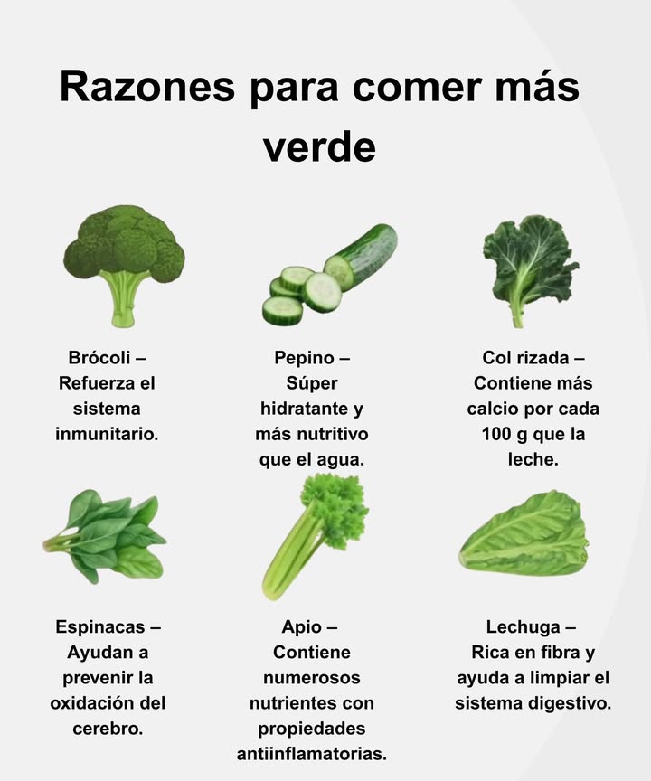 復 Razones para comer más verde

 Brócoli  Refuerza el sistema inmunitario.
勒 Pepino  Súper hidratante y más nutritivo que el agua.
塞 Col rizada  Aporta más calcio que la leche por cada 100 g.
 Espinacas  Protegen contra la oxidación cerebral.
綾 Apio  Rico en nutrientes con propiedades antiinflamatorias.
 Lechuga  Alta en fibra y aliada de la salud digestiva.