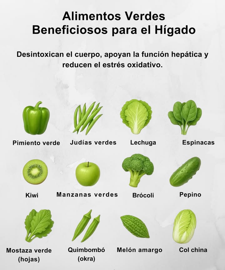 Alimentos Verdes Beneficiosos para el Hígado
Desintoxican el cuerpo, apoyan la función hepática y reducen el estrés oxidativo. Incorporarlos en tu dieta fortalece el sistema digestivo y mejora la salud general.

復 Incluye estos en tus comidas:
 Pimiento verde
 Judías verdes
 Lechuga
 Espinacas
 Kiwi
 Manzanas verdes
 Brócoli
 Pepino
 Mostaza verde hojas
 Quimbombó okra
 Melón amargo
 Col china

 Cuida tu hígado con el poder de lo natural.