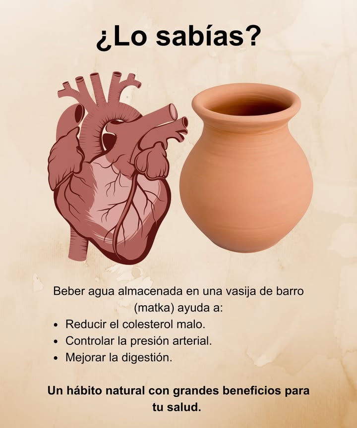 Beber agua de vasija de barro matka

Un hábito sencillo con grandes beneficios naturales para la salud:
 Ayuda a reducir el colesterol malo.
 Contribuye a controlar la presión arterial.
 Favorece una digestión equilibrada y ligera.

El barro mantiene el agua fresca, equilibrada en minerales y libre de impurezas. Una forma ancestral y saludable de hidratar el cuerpo.