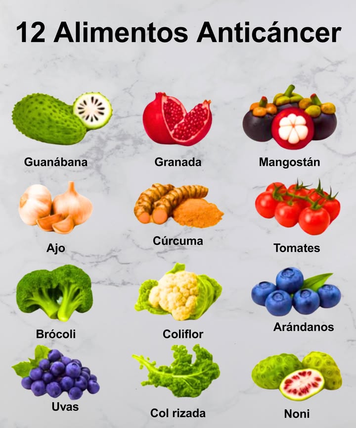 12 alimentos que fortalecen el organismo:

 Guanábana  Potente antioxidante natural.
 Granada  Rica en polifenoles protectores.
 Mangostán  Fuente de xantonas revitalizantes.
龍 Ajo  Refuerza el sistema inmunológico.
 Cúrcuma  Contiene curcumina antiinflamatoria.
 Tomates  Llenos de licopeno y vitaminas.
復 Brócoli  Riqueza en sulforafano detox.
復 Coliflor  Apoya la salud celular.
𢡄 Arándanos  Altos en antioxidantes.
 Uvas  Con resveratrol protector.
塞 Col rizada  Nutrientes para la salud celular.
 Noni  Propiedades revitalizantes.