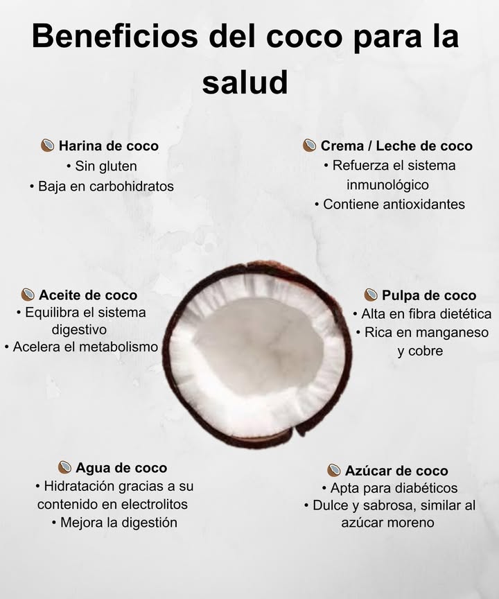 便 Beneficios del coco para tu salud, de la raíz a la copa
El coco es un tesoro natural con múltiples presentaciones, cada una llena de propiedades saludables:

 Harina de coco
 Sin gluten
 Baja en carbohidratos

便 Crema / Leche de coco
 Refuerza el sistema inmunológico
 Rica en antioxidantes

 Aceite de coco
 Equilibra el sistema digestivo
 Acelera el metabolismo

 Pulpa de coco
 Alta en fibra dietética
 Fuente de manganeso y cobre

 Agua de coco
 Hidratación natural por sus electrolitos
 Mejora la digestión

 Azúcar de coco
 Apta para diabéticos
 Sabor dulce y similar al azúcar moreno

 Incluir coco en tu dieta diaria es un paso natural hacia una vida más saludable y sabrosa.