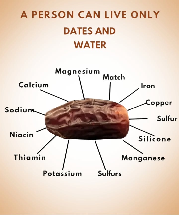 Dates: Natures Perfect Energy Food 

1 Loaded with vital minerals
Dates are rich in iron, calcium, magnesium, and potassium  all essential for strong bones, heart health, and muscle function.

2 A source of important vitamins
They provide B vitamins like niacin and thiamine, which support metabolism, brain function, and energy production.

3 Excellent for digestion
With their high fiber content, dates promote smooth digestion, prevent constipation, and help maintain gut balance.

4 Natural energy booster
Thanks to their natural sugars  glucose, fructose, and sucrose  dates give an instant energy lift, making them perfect for athletes or as a healthy afternoon snack.

5 A survival superfood
When paired with water, dates can sustain the body for long periods, providing hydration, strength, and nourishment even in harsh conditions.

 Together, dates and water form a simple yet powerful combination  a natural source of vitality and balance for the entire body.

#fblifestyle