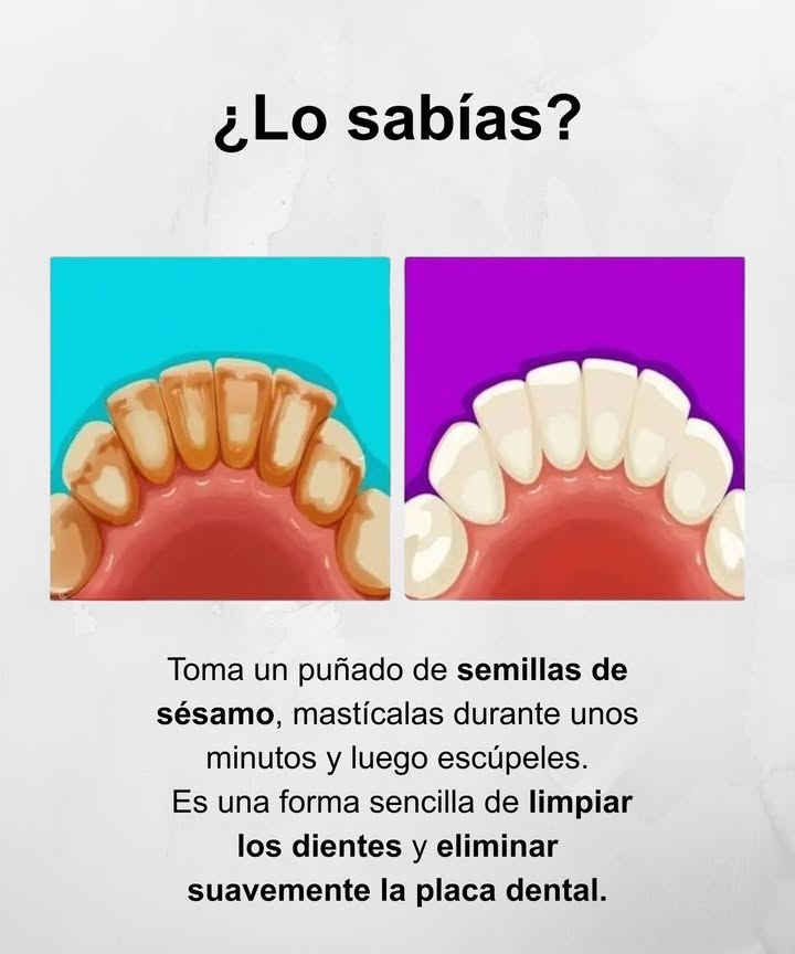 醴 Semillas de sésamo para dientes más limpios

 Mastica un puñado de semillas de sésamo durante unos minutos y luego escúpelas.
 Este sencillo método ayuda a limpiar los dientes y eliminar suavemente la placa dental, dejando una sensación de frescura natural.