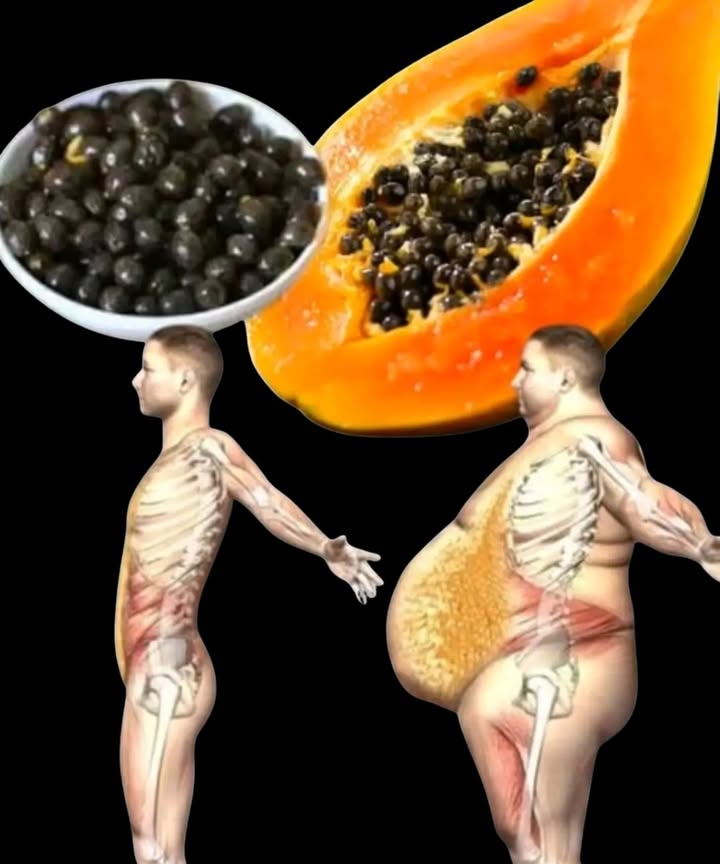 How to Use Papaya Seeds for Natural Healing 

1 Drying
Collect papaya seeds and let them dry in the sun or in a dehydrator. 

2 Grinding
Once dry, grind them into powder using a blender or grinder. 

3 Mixing
Add one teaspoon of the powder to lemon or lime juice. 

4 Intake
Drink a small glass before breakfast and another before bedtime for 30 days. 

A simple and natural habit that supports digestion, liver function, and body detoxification.