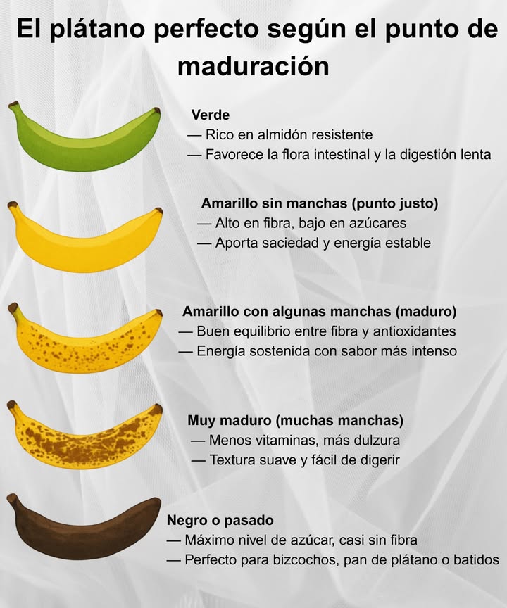 El plátano perfecto según el punto de maduración 

塞 Verde
 Rico en almidón resistente
 Favorece la flora intestinal y la digestión lenta

 Amarillo sin manchas punto justo
 Alto en fibra, bajo en azúcares
 Aporta saciedad y energía estable

 Amarillo con algunas manchas maduro
 Buen equilibrio entre fibra y antioxidantes
 Energía sostenida con sabor más intenso

 Muy maduro muchas manchas
 Menos vitaminas, más dulzura
 Textura suave y fácil de digerir

 Negro o pasado
 Máximo nivel de azúcar, casi sin fibra
 Perfecto para bizcochos, pan de plátano o batidos

 Cada etapa es única y útil. Elige la que mejor se adapte a tu necesidad o receta.