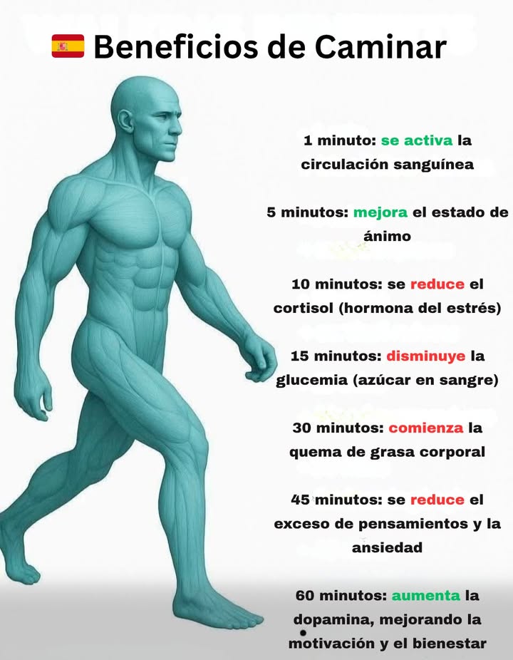 Beneficios de caminar

Caminar cada día genera efectos positivos progresivos en el cuerpo y en la mente.
Así reacciona el organismo con el paso del tiempo:

1 minuto: se activa la circulación sanguínea
5 minutos: mejora el estado de ánimo
10 minutos: se reduce el cortisol hormona del estrés
15 minutos: disminuye la glucemia
30 minutos: comienza la quema de grasa
45 minutos: se reduce el exceso de pensamientos y la tensión mental
60 minutos: aumenta la dopamina, mejorando la motivación y la concentración

Caminar con regularidad favorece el bienestar físico y mental.