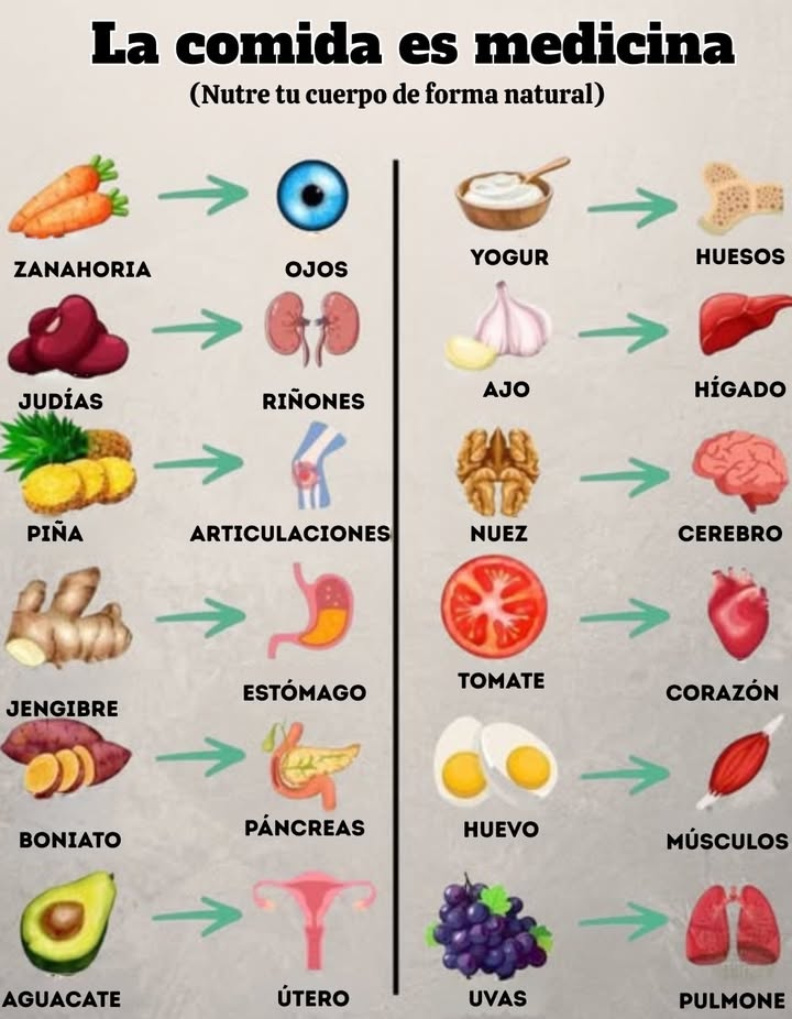 Descubre cómo los alimentos cotidianos apoyan diferentes partes de tu cuerpo:
 Zanahoria  Apoya la salud ocular
 Frijoles  Fortalecen los riñones
 Piña  Alivia el dolor en las articulaciones
 Jengibre  Calma el estómago
 Batata  Nutre el páncreas
 Aguacate  Apoya la salud reproductiva
 Yogur  Fortalece los huesos
 Ajo  Protege el hígado
 Nueces  Alimentan tu cerebro
 Tomate  Mejora la salud del corazón
 Huevos  Construyen músculos fuertes
 Uvas  Benefician los pulmones
Come bien, siéntete bien: la farmacia de la naturaleza siempre está abierta.