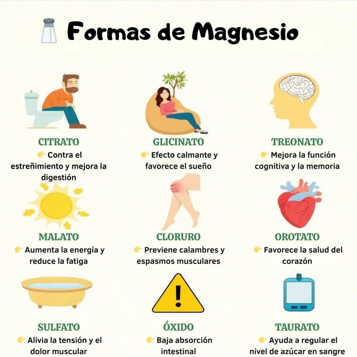 蓼 Formas de Magnesio

Cada tipo de magnesio tiene una función específica en el organismo. Elegir el adecuado puede marcar la diferencia en el bienestar diario.

Citrato: favorece la digestión y alivia el estreñimiento.
Glicinato: tiene efecto calmante y mejora el sueño.
Treonato: apoya la memoria y la función cognitiva.
Malato: ayuda a aumentar la energía y reducir la fatiga.
Cloruro: previene calambres y espasmos musculares.
Orotato: contribuye a la salud del corazón.
Sulfato: alivia la tensión y el dolor muscular.
Óxido: se absorbe poco por el intestino.
Taurato: ayuda a mantener estables los niveles de azúcar en sangre.