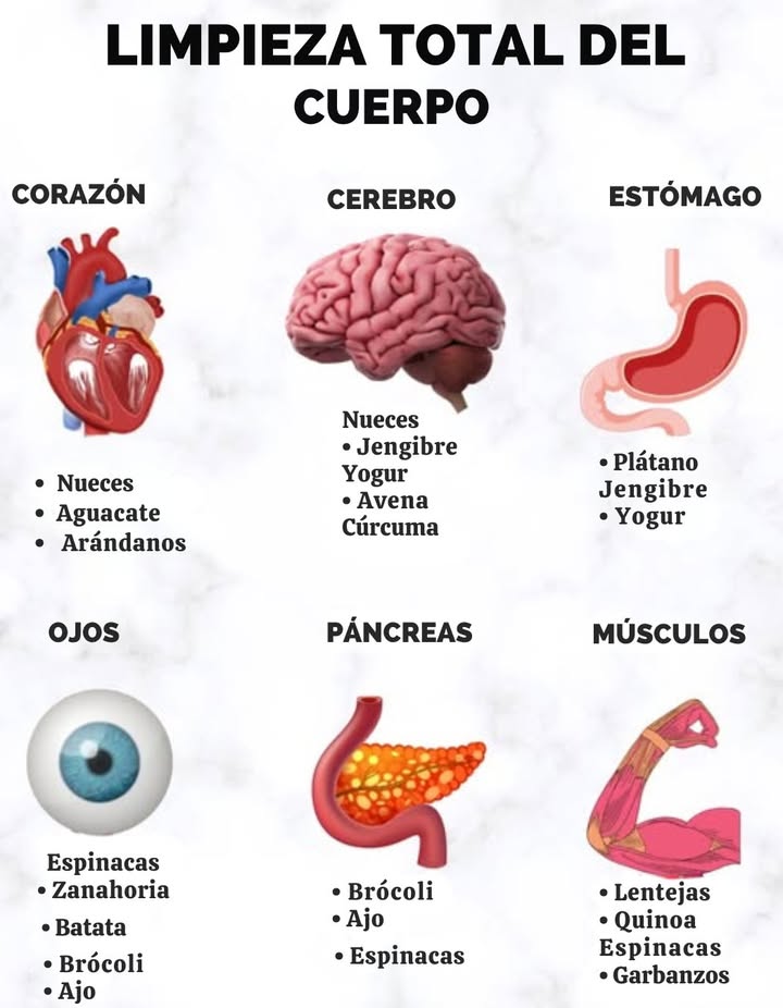LIMPIEZA TOTAL DEL CUERPO