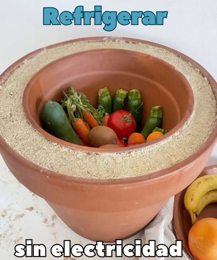 Refrigera sin electricidad   
 Coloca una olla más pequeña dentro de una más grande  
 Llena el espacio entre ellas con arena húmeda  
 Cubre la parte superior con un paño húmedo  
A medida que el agua se evapora, extrae calor y enfría el interior de forma natural. Esta configuración simple y asequible puede extender la vida de los alimentos perecederos de solo unos días a hasta tres semanas. Perfecto para emergencias o vida fuera de la red.