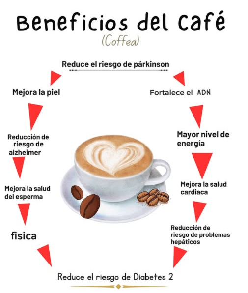 El café se originó en Etiopía en el siglo XV, donde se cultivaba y se consumía en forma de bayas verdes. La leyenda cuenta que un pastor llamado Kaldi descubrió el efecto estimulante del café después de observar que sus cabras se volvían más enérgicas después de comer las bayas. Desde entonces, el café se ha extendido por todo el mundo, y se ha convertido en una de las bebidas más consumidas.
A lo largo de la historia, el café ha evolucionado y se ha adaptado a las diferentes culturas y regiones. En el siglo XVII, el café se introdujo en Europa, donde se convirtió en una bebida popular entre la aristocracia. En el siglo XIX, el café se extendió por todo el mundo, y se convirtió en una bebida que se consumía en todos los estratos sociales.
Tipos de Café
Existen muchos tipos de café, cada uno con su propio sabor y características. Algunos de los tipos de café más comunes son:
– Arábica: Considerado por muchos como el mejor tipo de café, el arábica se cultiva en altitudes elevadas y tiene un sabor suave y complejo.
– Robusta: El robusta es un tipo de café más fuerte y amargo que el arábica, y se utiliza comúnmente en mezclas de café.
– Liberica: El liberica es un tipo de café que se cultiva en África occidental y tiene un sabor frutal y floral.
– Excelsa: El excelsa es un tipo de café que se cultiva en Asia y tiene un sabor suave y cremoso.