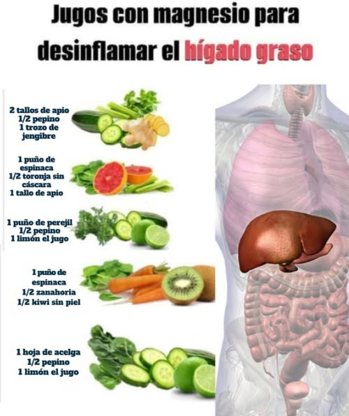 Los distintos tipos de jugos para desinflamar el hígado   
Sabías que el magnesio puede ser tu mejor aliado en la batalla contra el hígado graso? Este mineral no solo ayuda a equilibrar tu metabolismo, sino que también posee propiedades antiinflamatorias que pueden disminuir la inflamación en el hígado. Al respaldar la función hepática y mejorar la sensibilidad a la insulina, el magnesio se convierte en un componente esencial para cuidar de tu salud hepática.