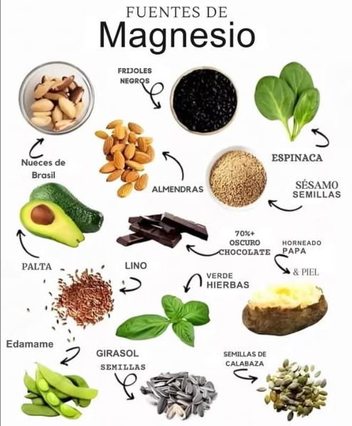 易 Te sientes cansado, estresado o con calambres musculares? Puede que estés necesitando más magnesio en tu dieta. Este mineral es esencial para la energía, el sistema nervioso, los músculos y la salud ósea. 
 Aquí tienes una lista de alimentos ricos en magnesio que puedes incluir fácilmente en tu día a día:
陋 Aguacate
 Chocolate negro 70% o más
 Nueces de Brasil y almendras
 Hierbas verdes frescas
 Papa al horno con piel
塞 Espinaca
 Semillas de sésamo, girasol y calabaza
樂 Frijoles negros y edamame
 Semillas de linaza flaxseed
 El magnesio ayuda a:
 Relajar los músculos
 Combatir la ansiedad
 Mejorar el sueño
 Regular la presión arterial
 Mantener huesos fuertes
律 Una dieta rica en magnesio es clave para tu bienestar físico y mental!
#MagnesioNatural #AlimentosSaludables #MineralesEsenciales
